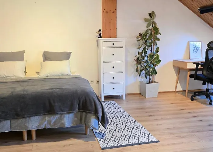 Bright & Spacious In Graz