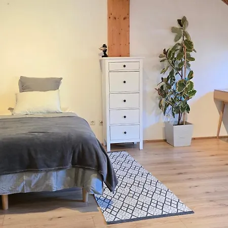 Bright & Spacious In Appartement